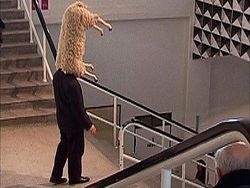 Ada Saja Kelakuan Konyol orang-orang di Internet, Cek Deh