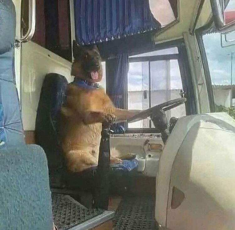 Orang-orang ini melakukan beragam hal konyol dan mengunggahnya di internet. Cdek deh sekarang.