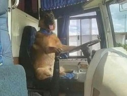 Ada Saja Kelakuan Konyol orang-orang di Internet, Cek Deh