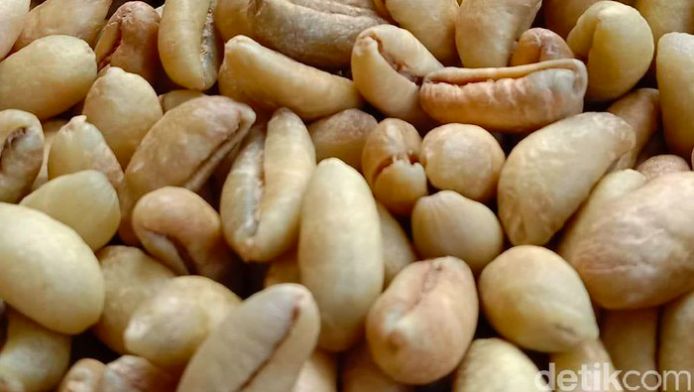 Biji kopi Liberica. Foto: detikcom/Erliana Riady/file