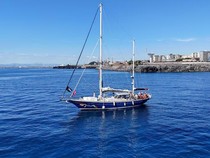 Turki Kecam Israel Cegat Kapal Tujuan Gaza Angkut Greta Thunberg-11 Aktivis