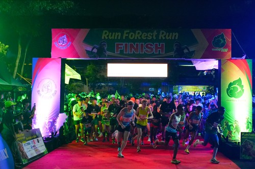 Monkey Forest Ubud sukses menggelar ajang lari bertajuk Monkey Forest Ubud Run 2025 pada Minggu (8/6/2025). (IST)