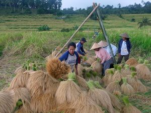Nusron Minta Warga Bali ke Luar Pulau, Ini Riwayat Transmigrasi di Indonesia