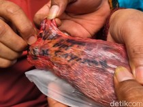 Heboh Paru Sapi Kurban Bertuliskan Nama Orang, Begini Penampakannya