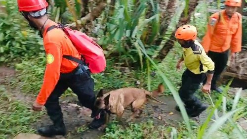 Petugas SAR gabungan melakukan pencarian lansia yang dilaporkan hilang, Senin (9/6/2025).