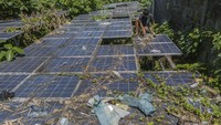 Menurut warga setempat, PLTS 100 kwp bantuan dari Pemkot Ternate yang dipergunakan untuk pompa air itu sudah tidak bisa berfungsi normal sejak 2019 akibat kerusakan pada baterai sehingga kondisinya terbengkalai dan dipenuhi rumput liar. Foto: ANTARA FOTO/ANDRI SAPUTRA