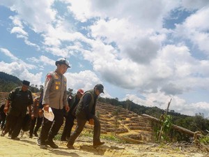 Terungkap Modus Tersangka Babat Hutan Lindung untuk Sawit di Riau