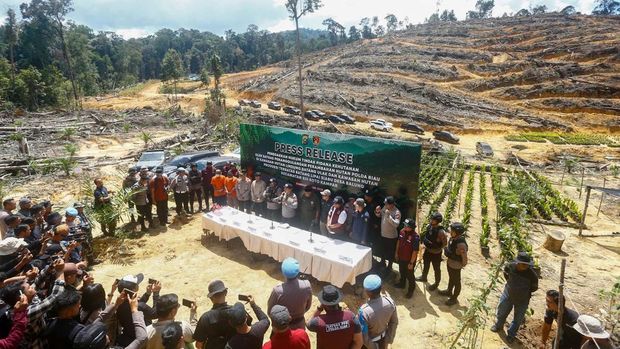 Polda Riau membongkar kasus perambahan hutan di HPT Hutan Lindung Si Abu, Kabupaten Kampar.