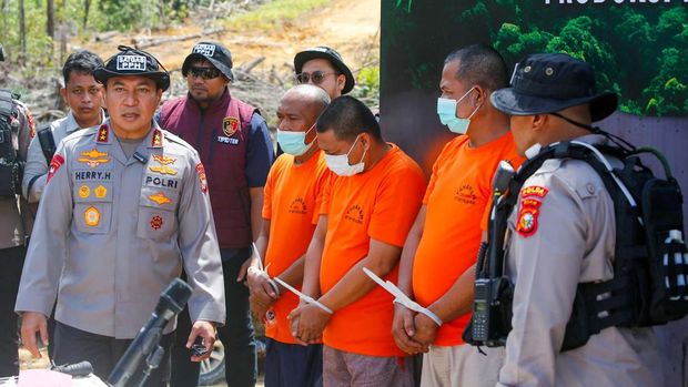 Polda Riau membongkar kasus perambahan hutan di HPT Hutan Lindung Si Abu, Kabupaten Kampar.