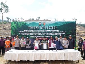 2.360 Hektare Lahan di Riau Rusak Akibat Perusakan Hutan