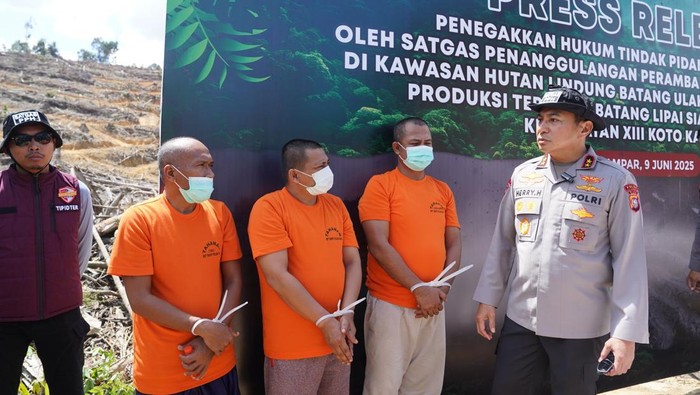 Polda Riau membongkar kasus perambahan hutan di HPT Hutan Lindung Si Abu, Kabupaten Kampar.