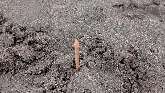 Ranjau paku yang ditemukan bertebaran di savana Gunung Bromo.