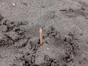 Wisatawan-Pelaku Usaha Bromo Minta Pelaku Teror Ranjau Paku Diusut