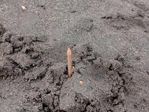 TNBTS Gercep Gandeng Polisi Sisir Lokasi Ranjau Paku di Savana Bromo