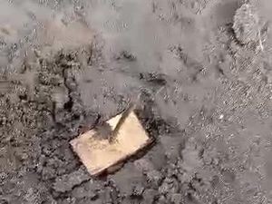 Heboh Ranjau Paku Bertebaran di Savana Bromo, Banyak Kendaraan Jadi Korban