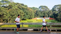 Warga memanfaatkan momen libur panjang Idul Adha, Senin (9/6/2025) dengan berolahraga di UI. Kawasan hutan kota UI yang berada di Jakarta ini cukup rimbun sehingga meningkatkan mood saat berlari.   