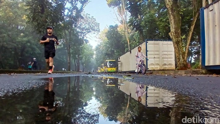 Rimbun dan Adem, Kampus UI Jadi Spot Favorit Lari di Pinggir Jakarta Kampus UI rupanya jadi spot favorit lari yang terletak di pinggir Jakarta. Banyaknya pohon rimbun menjadi alasannya.