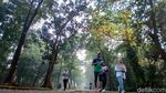Rimbun dan Adem, Kampus UI Jadi Spot Favorit Lari di Pinggir Jakarta