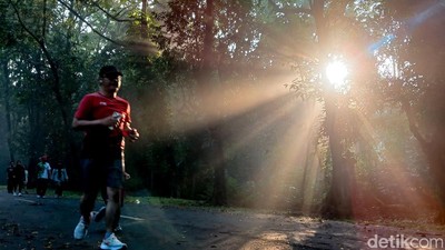 Rimbun dan Adem, Kampus UI Jadi Spot Favorit Lari di Pinggir Jakarta