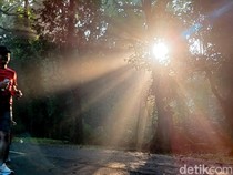 Rimbun dan Adem, Kampus UI Jadi Spot Favorit Lari di Pinggir Jakarta