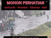 Viral Pria Tenteng Senapan Tembaki Anjing di Tabanan, Polisi Turun Tangan