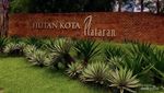Menikmati Indahnya Hamparan Hutan Kota GBK