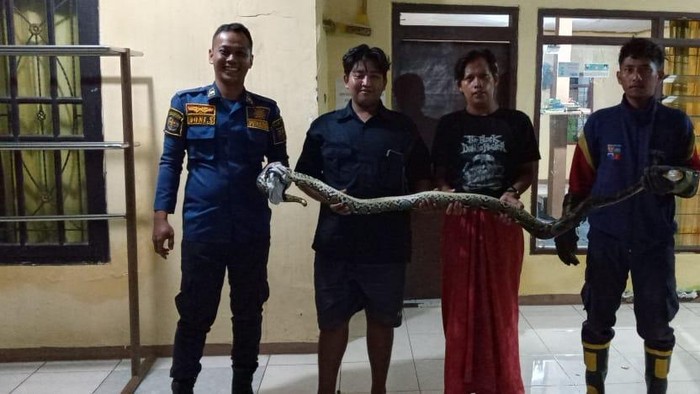 Damkar Kota Bogor mengevakuasi ular sanca yang masuk ke kamar tidur warga di Cimahpar.