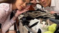 Layaknya pejabat lain, Deddy Corbuzier harus melaporkan harta kekayaannya. Menurut laporan terhadap LHKPN kekayaan pemilik podcast Close The Door tersebut mencapai hampir Rp 1 triliun. Foto: Instagram/mastercorbuzier