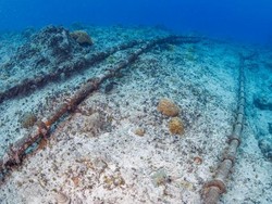 Kabel Internet Bawah Laut Laut Merah Terputus, Negara Ini Kena Dampaknya