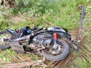 Pemotor Wanita di Selayar Tewas Usai Tabrak Pohon Kelapa gegara Rem Blong