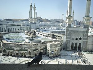 Berapa Biaya Haji 2026? Ini Informasi Resmi dari Kementerian Haji dan Umrah