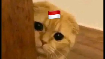 Bang udah bang... Jadi trending topic di lini masa X. Indonesia jadi kucing imut meminta iba. Foto: X.com