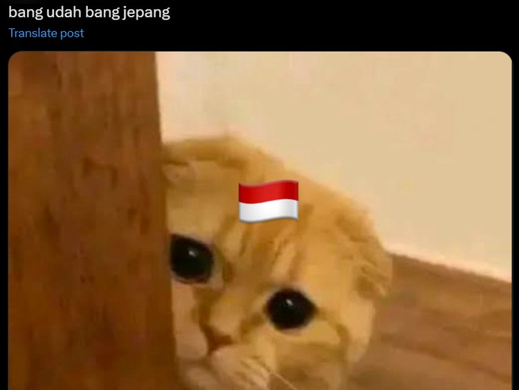 Meme Timnas Indonesia Dikalahkan Jepang di Kualifikasi Piala Dunia 2026