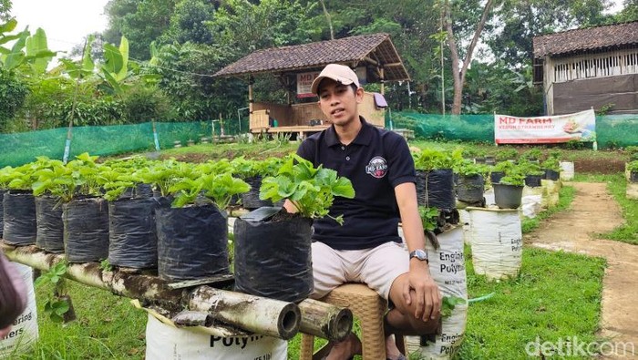 Muhamad Dikri, petani milenial asal Sukabumi