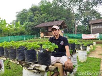 Di Bawah Terik, Dikri Bertahan demi Stroberi dan Mimpi