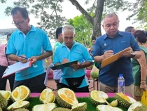 Meriah! Festival Durian Ini Ajak 1.000 Orang Makan Sepuasnya