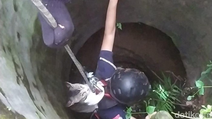 Petugas Damkar Saat Mengevakuasi Kucing dari Sumur di Tasikmalaya