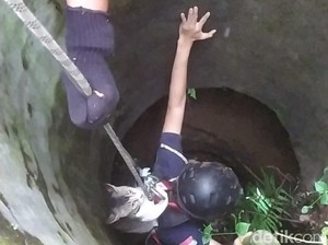 Damkar Tasik Evakuasi Dua Kucing Bucin dari Dalam Sumur