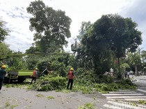 Kota Medan Diterpa Angin Kencang, BMKG Perkirakan Berlangsung Selama 3 Hari