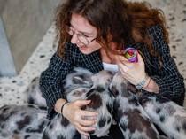 Potret Anak-anak Babi Jadi Terapi Jiwa bagi Warga Kyiv di Tengah Perang