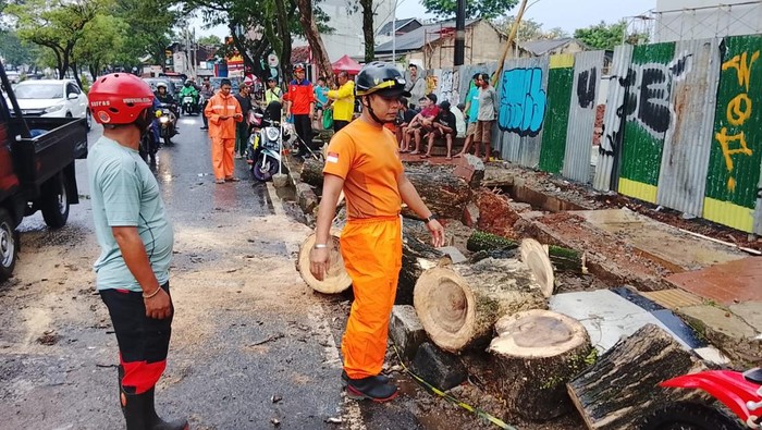 Proses penanganan pohon tumbang di Jalan Ciater Raya, Rawa Mekar Jaya, Serpong, Kota Tangerang Selatan.