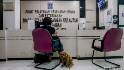 Rencana Subsidi BPJS Hewan Puskeswan untuk Bantu Warga Kurang Mampu