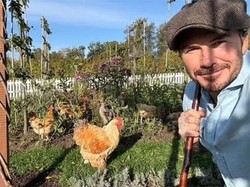 Potret Kehidupan David Beckham yang Tinggal di Desa, Berkebun & Tangkap Ayam