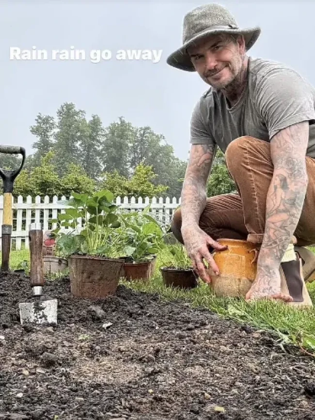 Beckham mengaku jatuh cinta dengan Cotswolds. Dalam sebuah perbincangan hangat dengan Ratu Camilla, Beckham bercerita, “Tempat itu sangat indah. Kami sangat bahagia di sana. Kami punya ayam.” Foto: dok. Instagram @davidbeckham