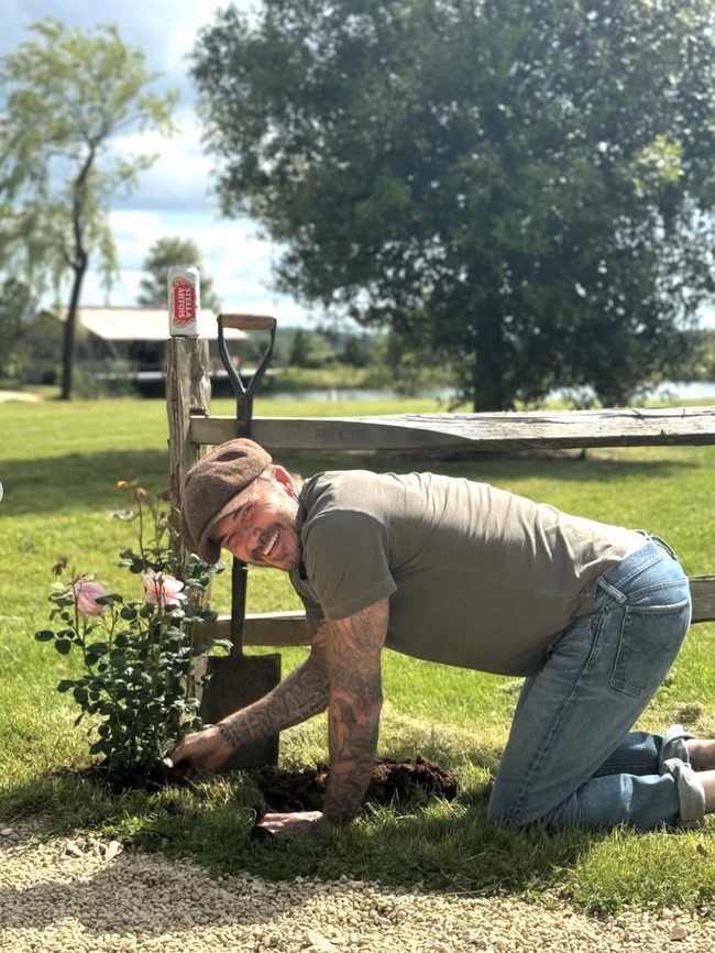 Meski Victoria mengakui bukan penggemar berkebun, David justru sangat menikmati waktunya di kebun. Ia juga dikenal merawat koloni lebah peliharaannya sendiri. Hal ini pun diikuti oleh Meghan Markle dan Pangeran Harry. Foto: dok. Instagram @davidbeckham