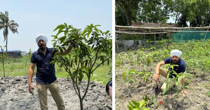 Dokter Alih Profesi Jadi Petani Mangga, Kini Raup Untung Rp 1,6 Miliar