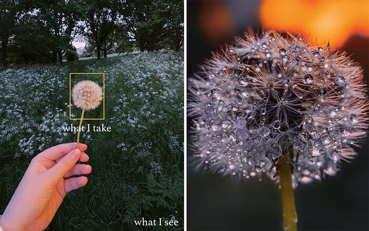 Foto What I See Vs. What I Take