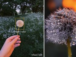 What I See Vs What I Take: Foto Keren Tunjukkan Mata Fotografer