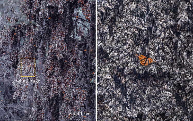 Foto What I See Vs. What I Take