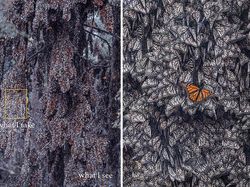 What I See Vs What I Take: Foto Keren Tunjukkan Mata Fotografer